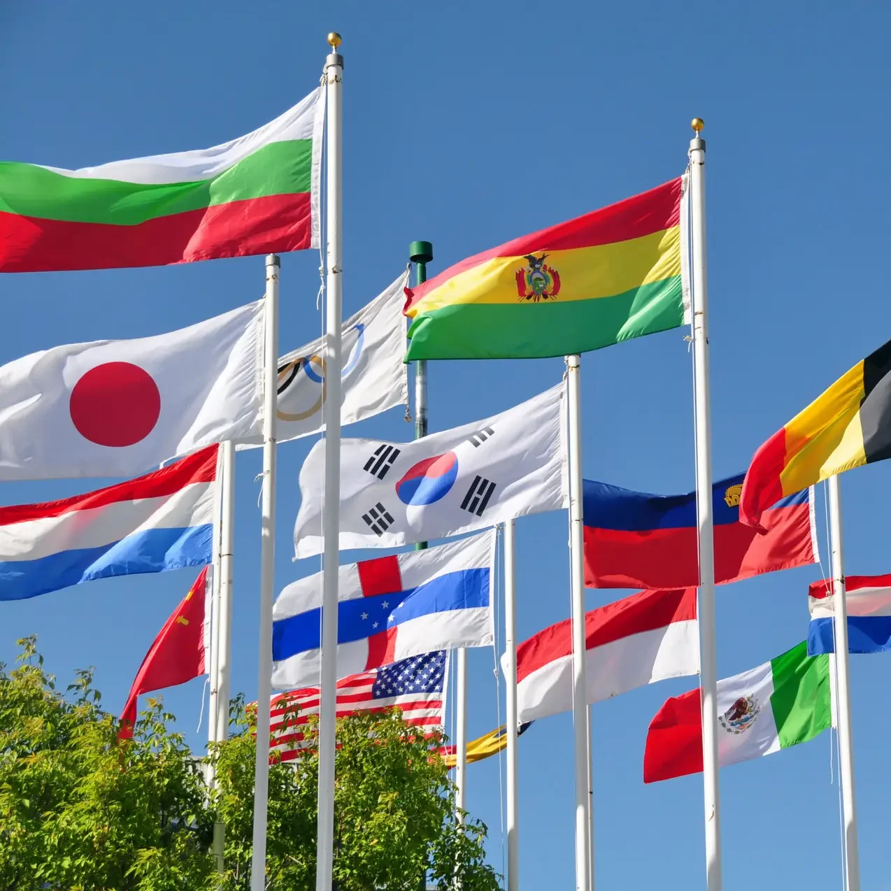 Flags of the world